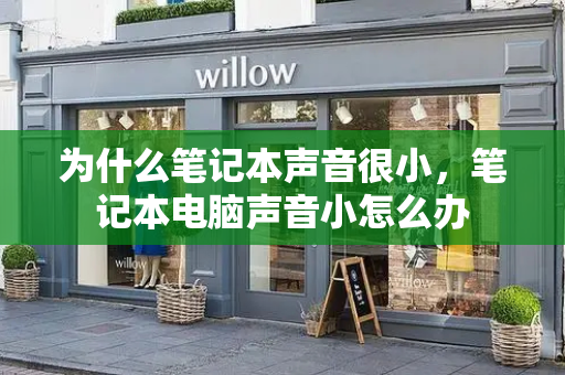 为什么笔记本声音很小，笔记本电脑声音小怎么办-第1张图片-星选测评