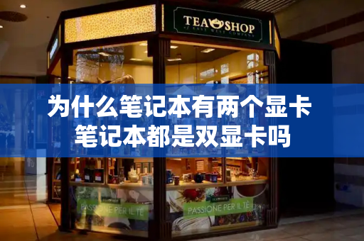 为什么笔记本有两个显卡 笔记本都是双显卡吗-第1张图片-星选测评