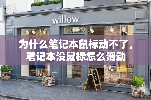 为什么笔记本鼠标动不了，笔记本没鼠标怎么滑动