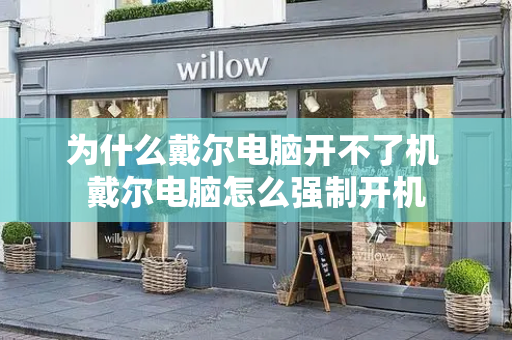 为什么戴尔电脑开不了机 戴尔电脑怎么强制开机-第1张图片-星选测评