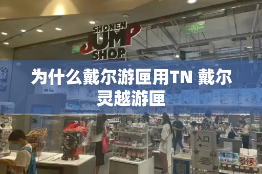 为什么戴尔游匣用TN 戴尔灵越游匣