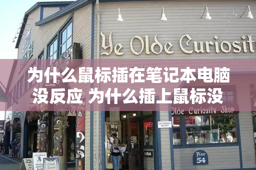 为什么鼠标插在笔记本电脑没反应 为什么插上鼠标没反应
