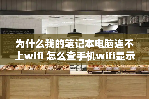 为什么我的笔记本电脑连不上wifi 怎么查手机wifi显示密码-第1张图片-星选测评
