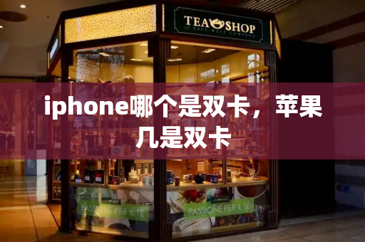 iphone哪个是双卡，苹果几是双卡-第1张图片-星选测评