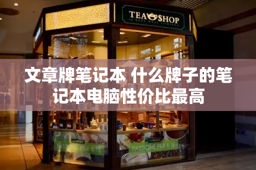 文章牌笔记本 什么牌子的笔记本电脑性价比最高