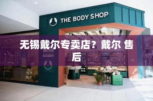 无锡戴尔专卖店？戴尔 售后-第1张图片-星选测评
