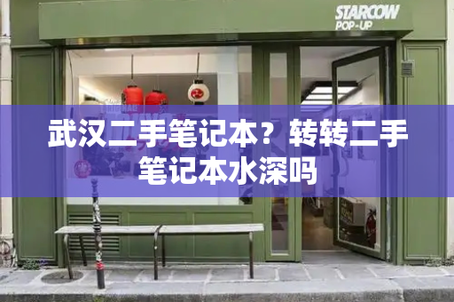 武汉二手笔记本？转转二手笔记本水深吗-第1张图片-星选测评