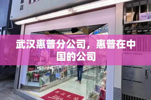 武汉惠普分公司，惠普在中国的公司
