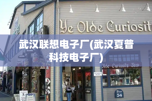 武汉联想电子厂(武汉夏普科技电子厂)