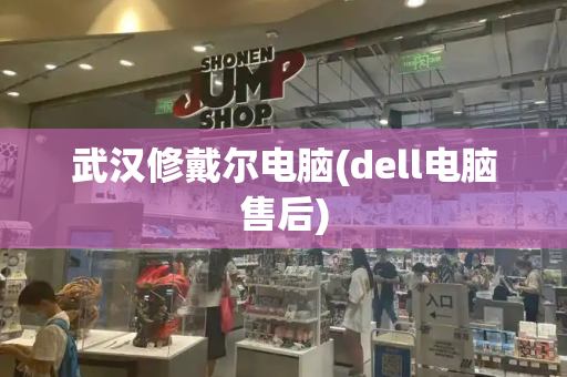 武汉修戴尔电脑(dell电脑售后)-第1张图片-星选测评