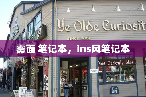 雾面 笔记本，ins风笔记本
