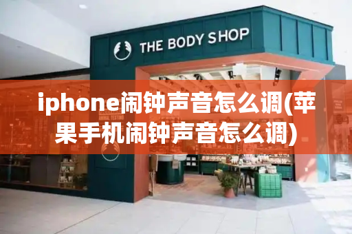 iphone闹钟声音怎么调(苹果手机闹钟声音怎么调)-第1张图片-星选测评