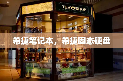 希捷笔记本，希捷固态硬盘