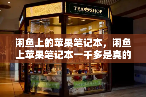 闲鱼上的苹果笔记本，闲鱼上苹果笔记本一千多是真的吗-第1张图片-星选测评