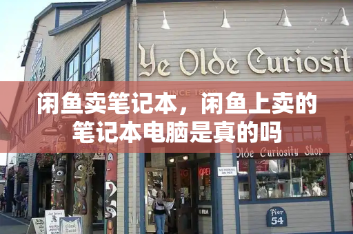 闲鱼卖笔记本，闲鱼上卖的笔记本电脑是真的吗-第1张图片-星选测评
