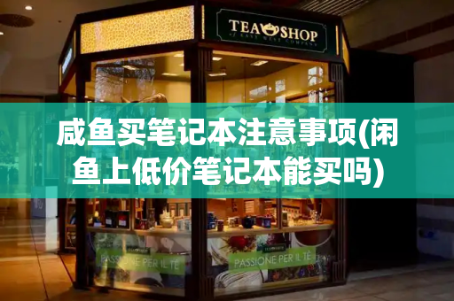 咸鱼买笔记本注意事项(闲鱼上低价笔记本能买吗)