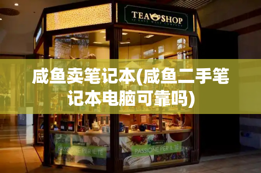 咸鱼卖笔记本(咸鱼二手笔记本电脑可靠吗)