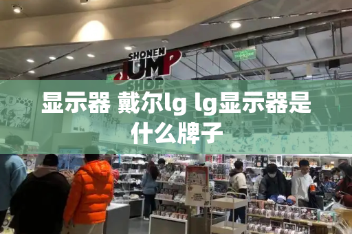 显示器 戴尔lg lg显示器是什么牌子