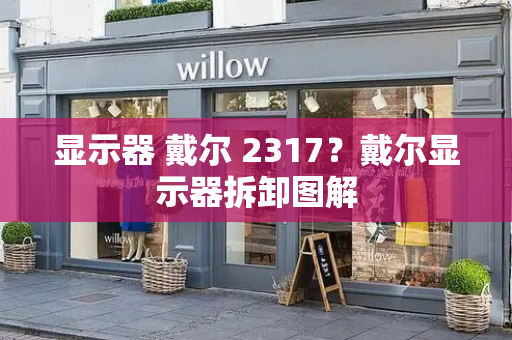 显示器 戴尔 2317？戴尔显示器拆卸图解-第1张图片-星选测评