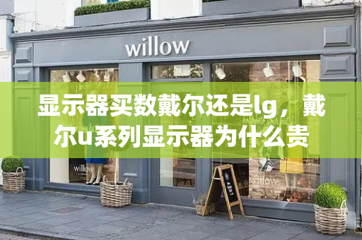 显示器买数戴尔还是lg，戴尔u系列显示器为什么贵