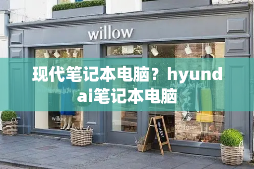 现代笔记本电脑？hyundai笔记本电脑-第1张图片-星选测评