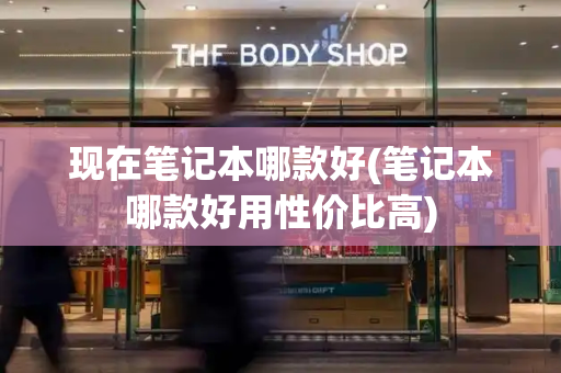 现在笔记本哪款好(笔记本哪款好用性价比高)