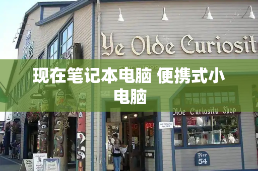 现在笔记本电脑 便携式小电脑