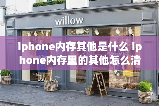 iphone内存其他是什么 iphone内存里的其他怎么清理-第1张图片-星选测评