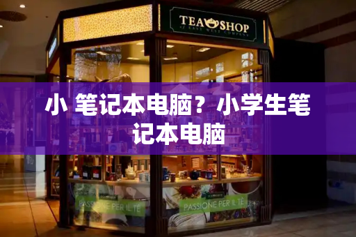 小 笔记本电脑？小学生笔记本电脑-第1张图片-星选测评