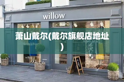 萧山戴尔(戴尔旗舰店地址)