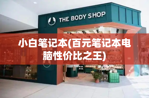 小白笔记本(百元笔记本电脑性价比之王)