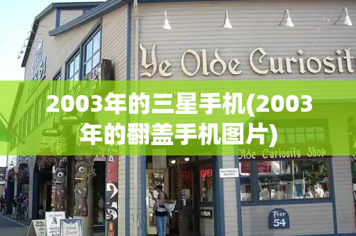 2003年的三星手机(2003年的翻盖手机图片)-第1张图片-星选测评