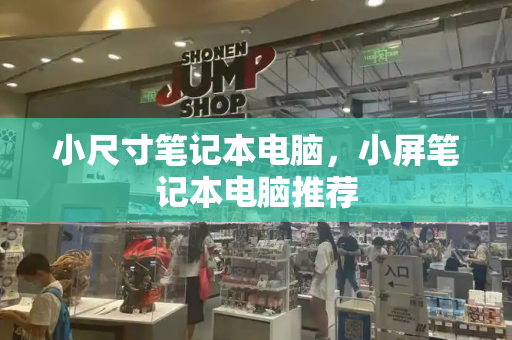 小尺寸笔记本电脑，小屏笔记本电脑推荐-第1张图片-星选测评