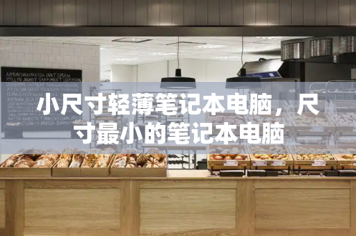小尺寸轻薄笔记本电脑，尺寸最小的笔记本电脑-第1张图片-星选测评
