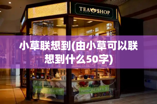 小草联想到(由小草可以联想到什么50字)