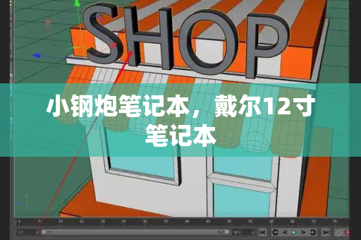 小钢炮笔记本，戴尔12寸笔记本