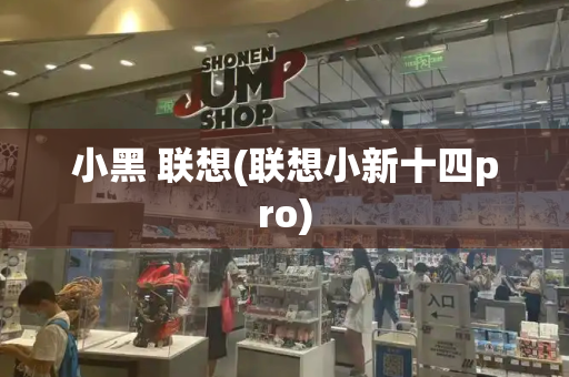 小黑 联想(联想小新十四pro)