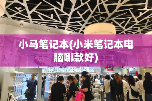 小马笔记本(小米笔记本电脑哪款好)