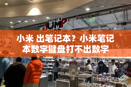 小米 出笔记本？小米笔记本数字键盘打不出数字-第1张图片-星选测评