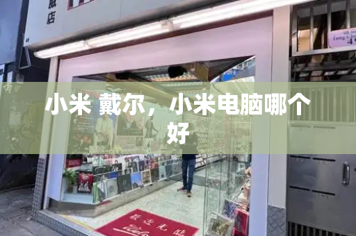 小米 戴尔，小米电脑哪个好