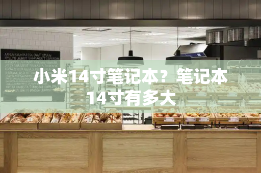 小米14寸笔记本？笔记本14寸有多大-第1张图片-星选测评