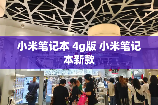小米笔记本 4g版 小米笔记本新款