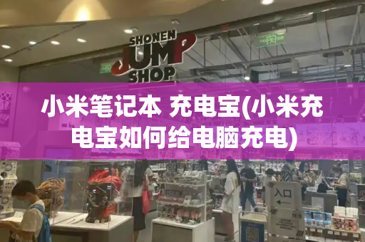 小米笔记本 充电宝(小米充电宝如何给电脑充电)-第1张图片-星选测评