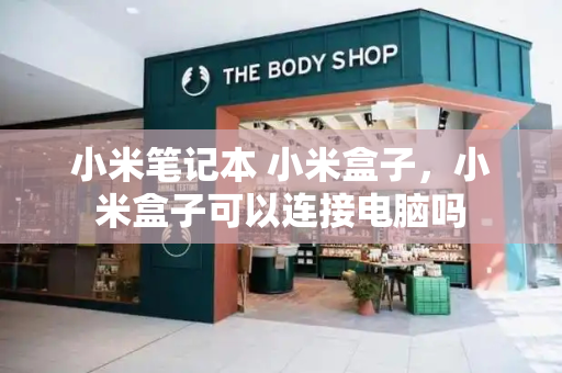 小米笔记本 小米盒子，小米盒子可以连接电脑吗-第1张图片-星选测评