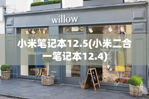 小米笔记本12.5(小米二合一笔记本12.4)-第1张图片-星选测评