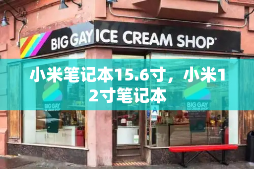 小米笔记本15.6寸，小米12寸笔记本