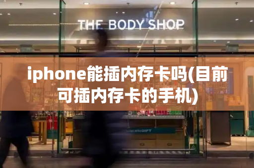 iphone能插内存卡吗(目前可插内存卡的手机)