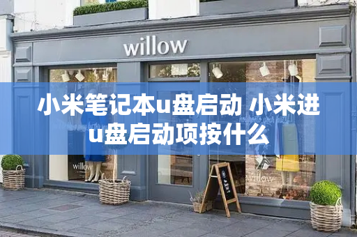 小米笔记本u盘启动 小米进u盘启动项按什么