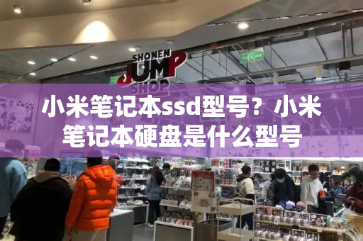 小米笔记本ssd型号？小米笔记本硬盘是什么型号-第1张图片-星选测评