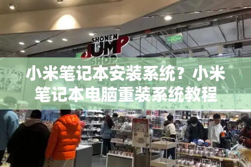 小米笔记本安装系统？小米笔记本电脑重装系统教程-第1张图片-星选测评